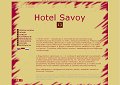 Hotel Z Tradycją - Hotel Savoy