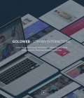GOLDWEB - Strony internetowe - Szczecin