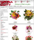 Poczta kwiatowa, kwiaty, kwiaciarnia internetowa, kwiaciarnia