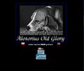 Alotorius Old Glory Beagle