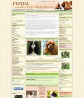  Cavalier King Charles Spaniel