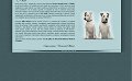Parson Russell Terrier - Dwie Twarze