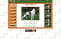 Jack Russell Terrier - Drapichrust