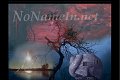 Nonamein.net