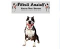 Pitbull Amstaff Natural Born Warriors