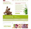 Przyprawy naturalne i zioła z całego świata online
