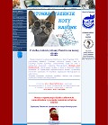 Stowarzyszenie Koty Rasowe - Hodowle Kotów - Koty