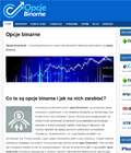 Opcje binarne - poradnik: brokerzy, konto demo, strategie